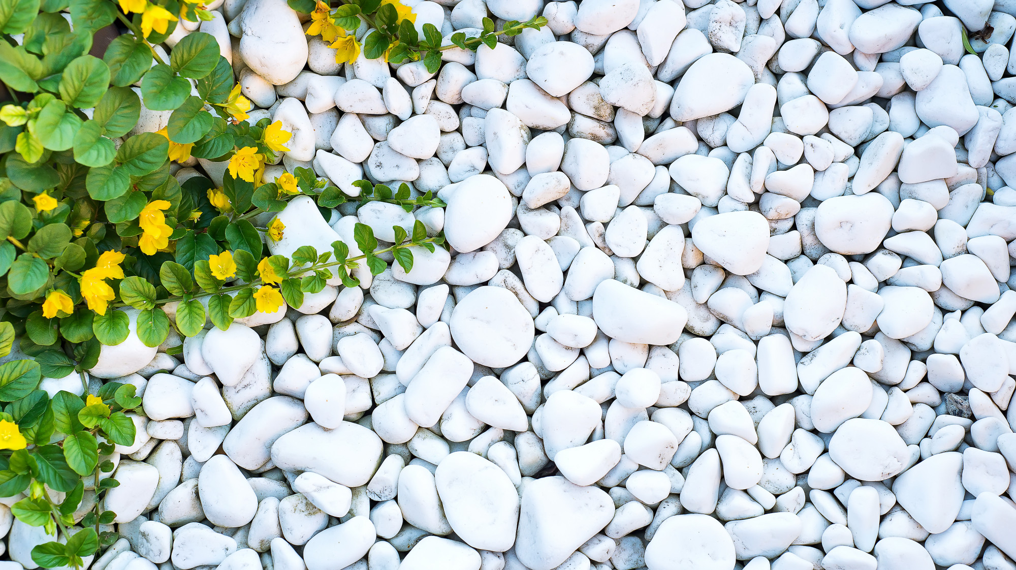 best-selling limestone  stones in world
