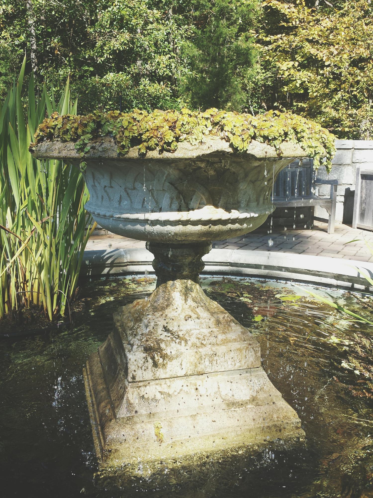 - How to Use Natural Stone to Create At-Home Water Features